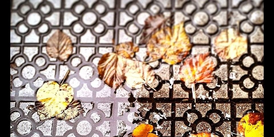 Edurne Gonzalez banner