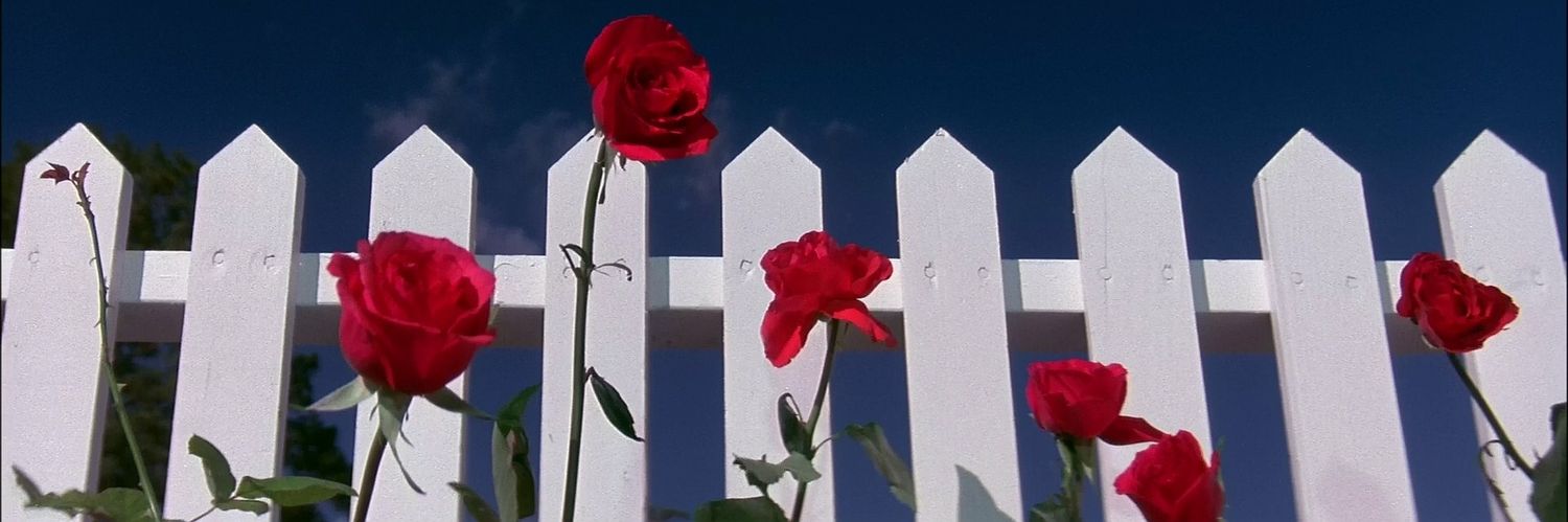 Goomorillo23's profile banner image