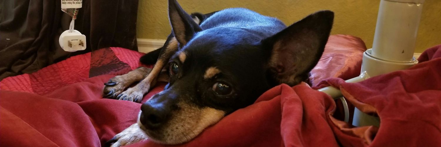 Stephon Parsons banner