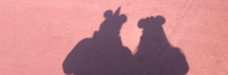 peeeeeeii1997's profile banner image