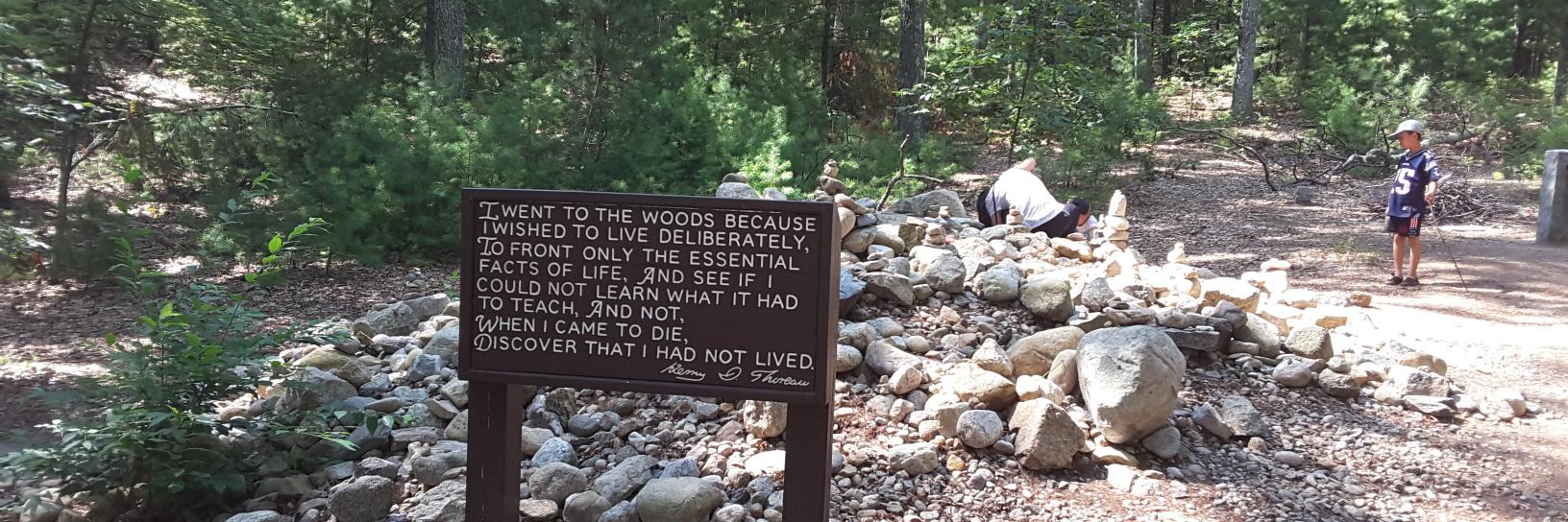 Julie Whoever banner