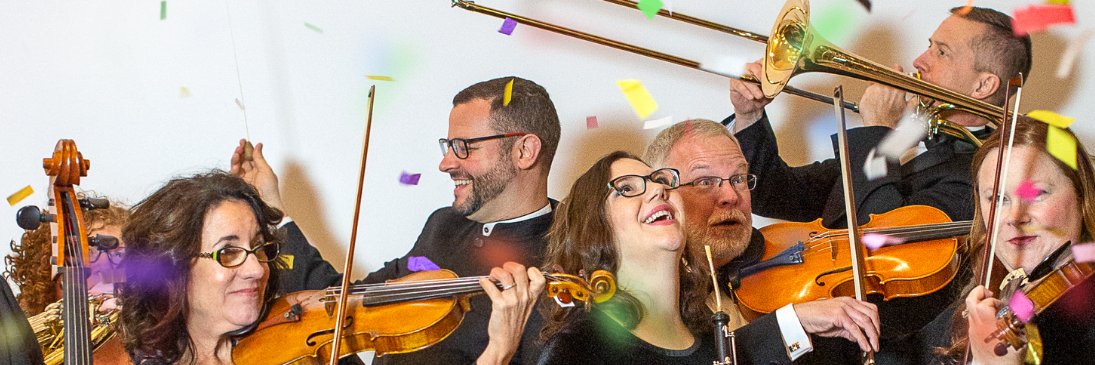 Duluth Superior Symphony Orchestra banner