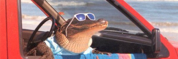 moop35 Profile Banner
