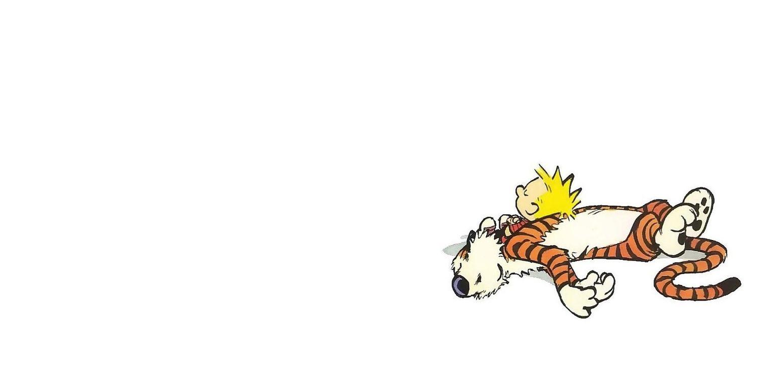 leonardofcrs's profile banner image