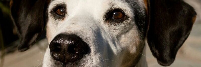 AnaInesMutti's profile banner image