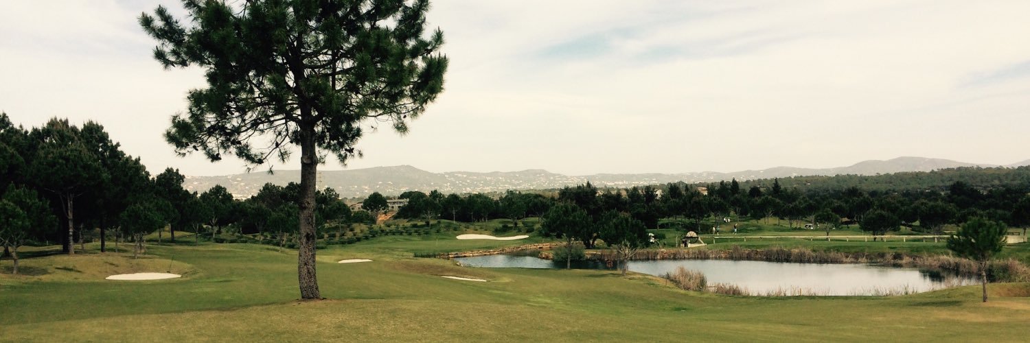 oligraygolf's profile banner image