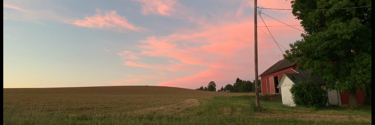 Chris Hippensteel banner