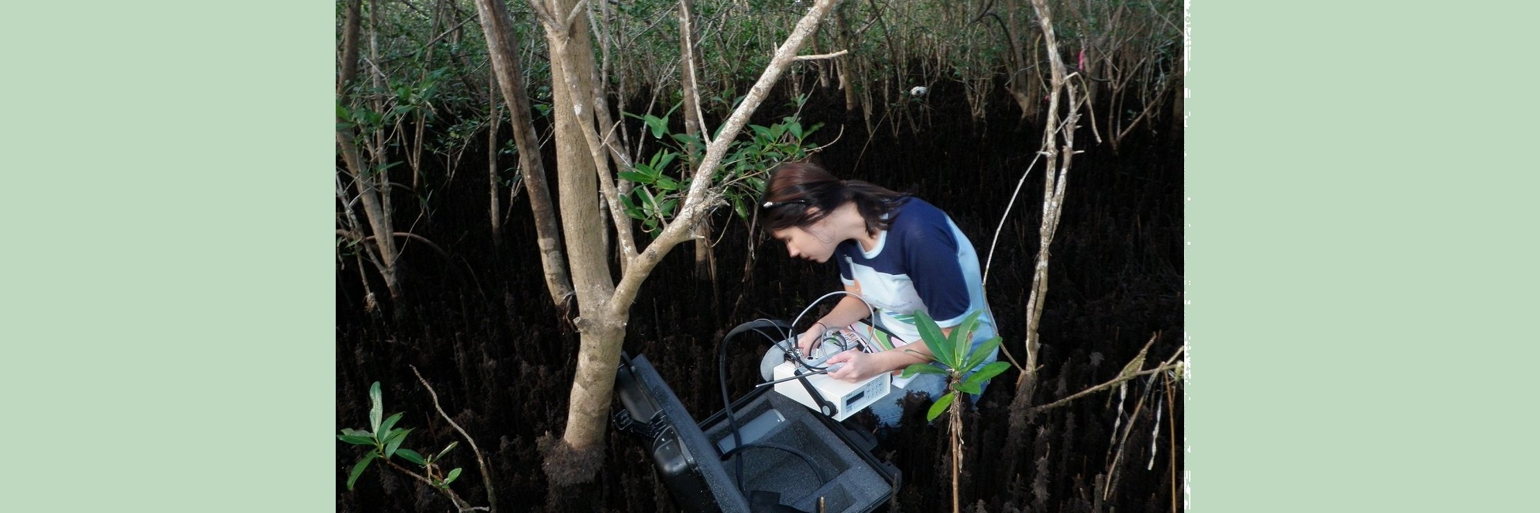 Ecosystems Lab banner