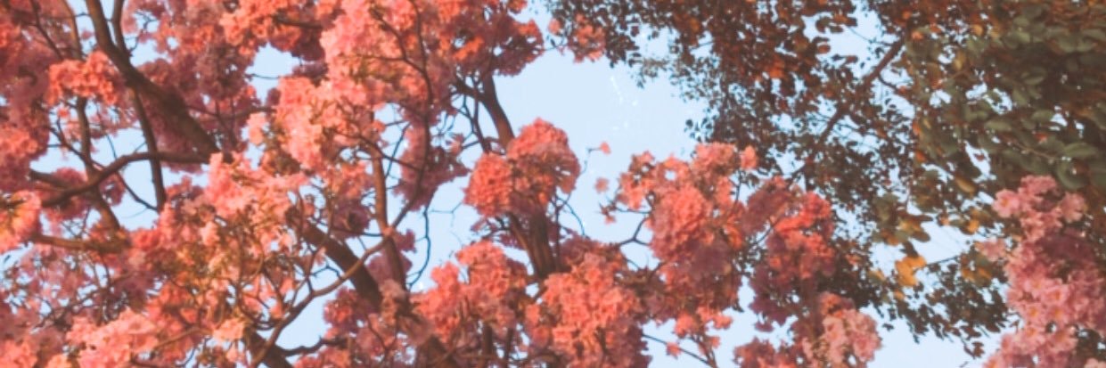 dan_1421's profile banner image