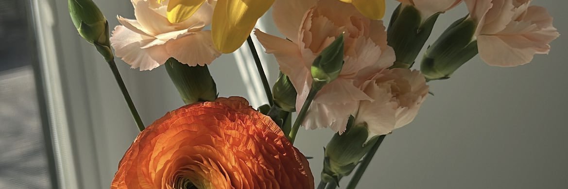 mariaesterstop's profile banner image