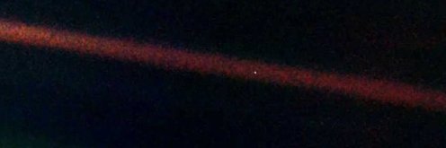 Daniel Engelman banner