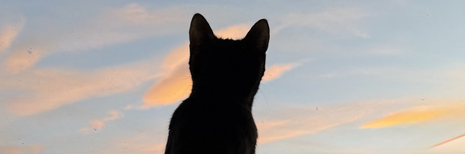 LottyObregon's profile banner image