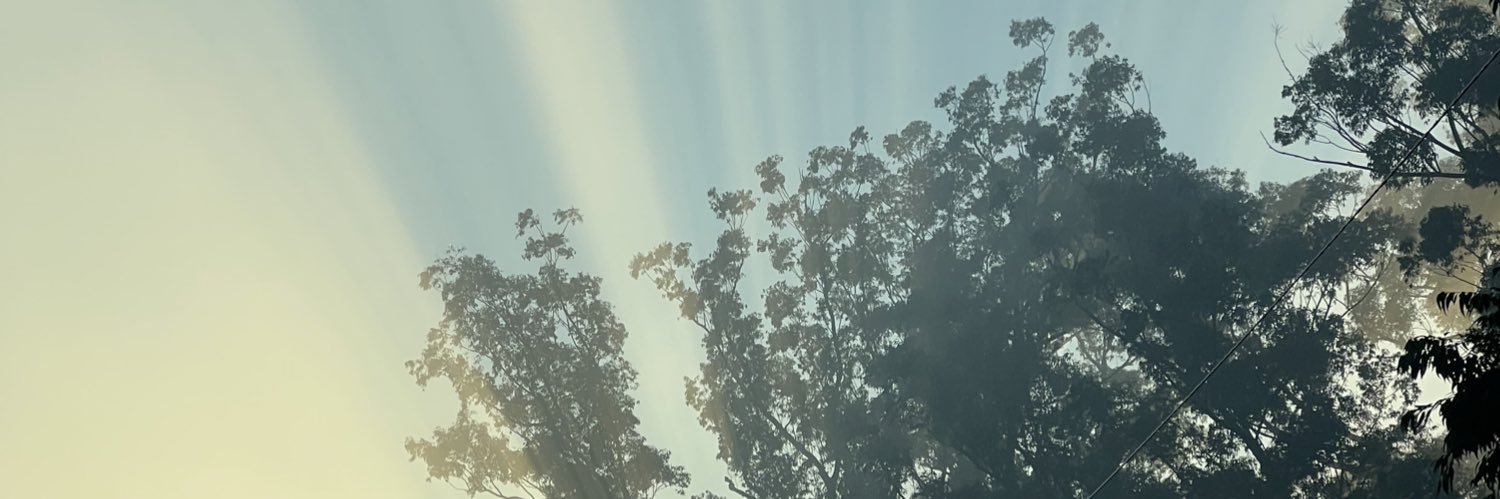 erodeados's profile banner image