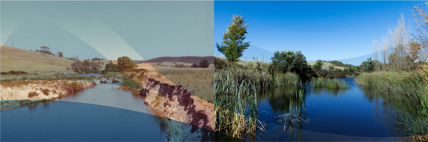 Mulloon Institute banner