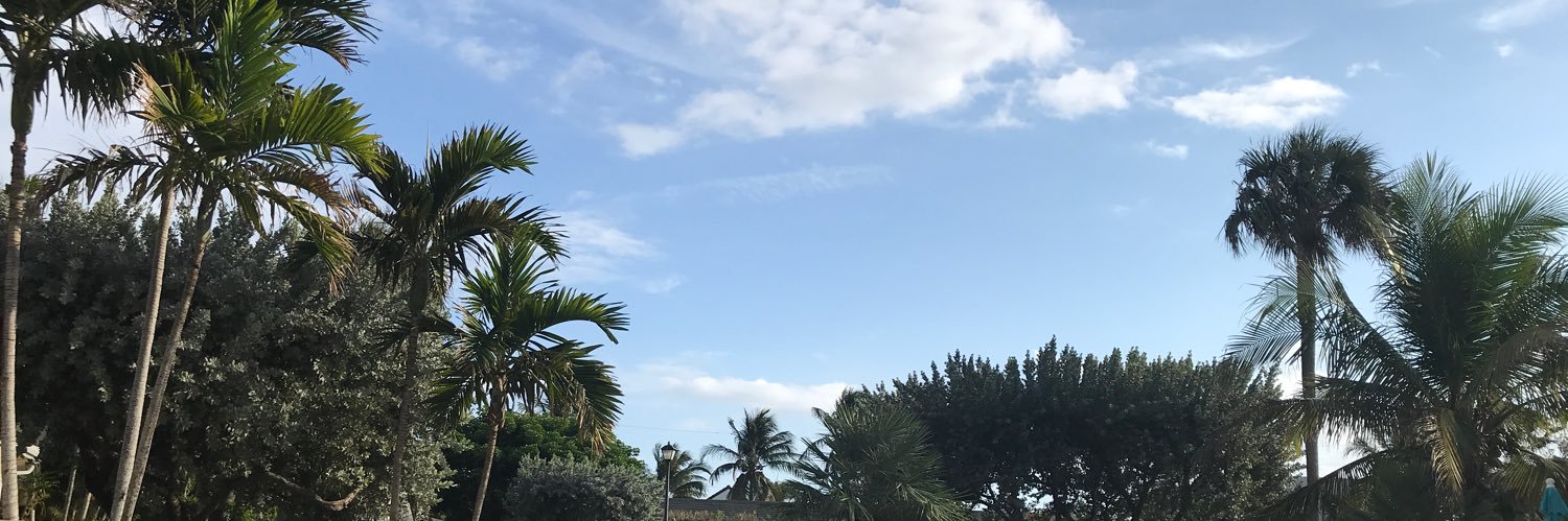 wine595's profile banner image