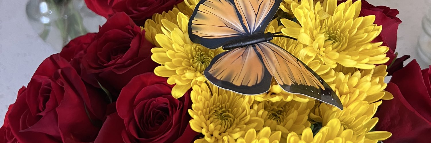 brinagisellee's profile banner image