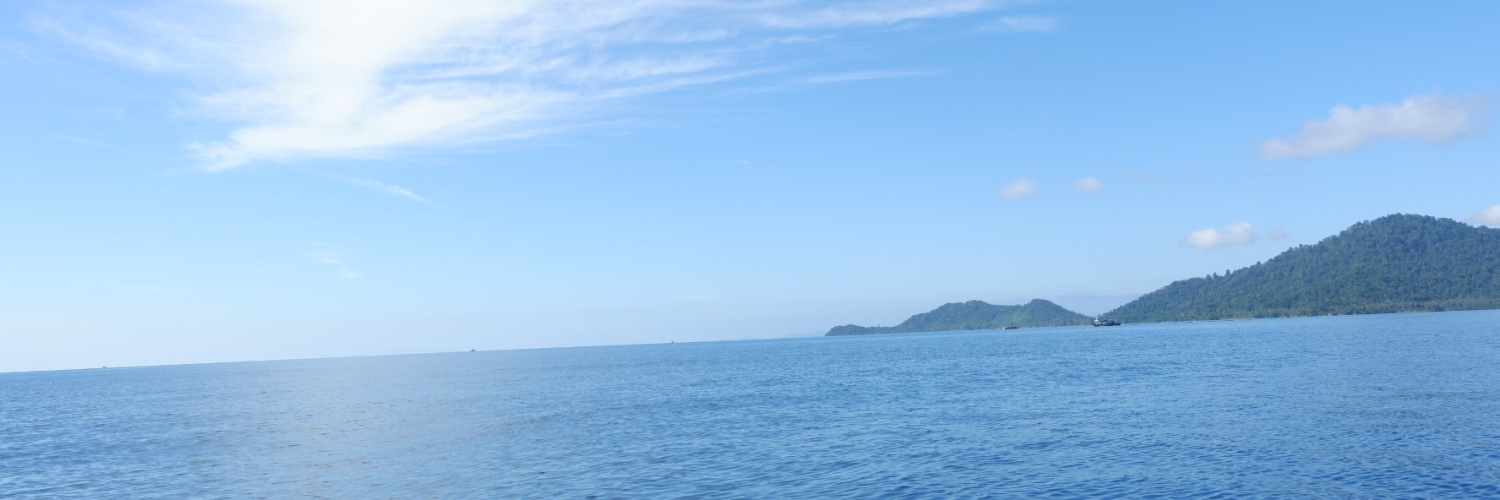 caesaraoctavia's profile banner image