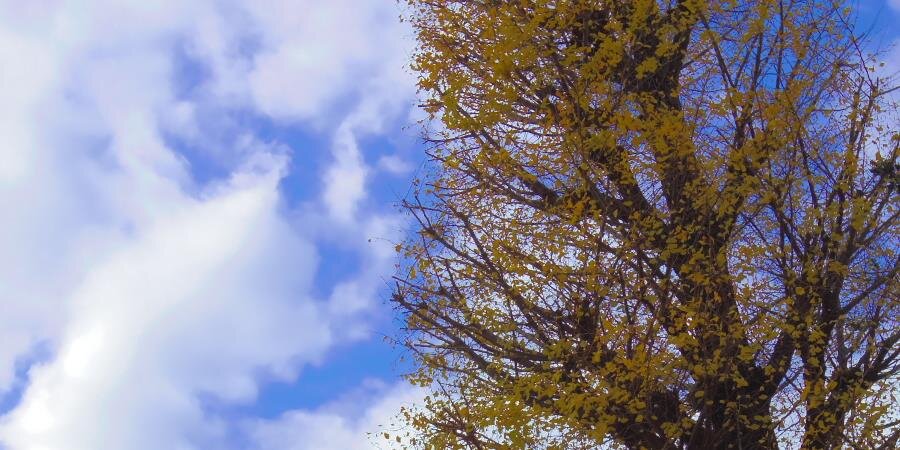 yas37's profile banner image