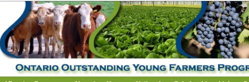 OntOYF banner
