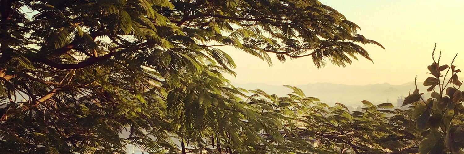 Krishna Pansari banner