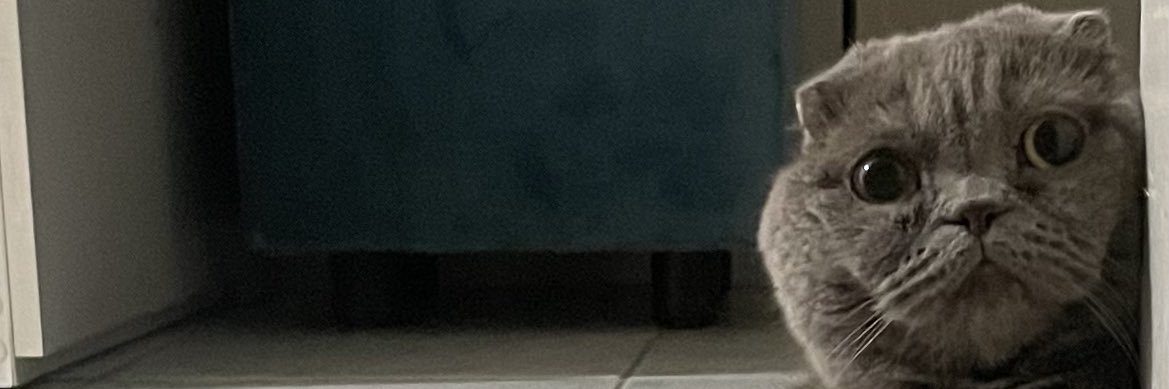 selentnt's profile banner image