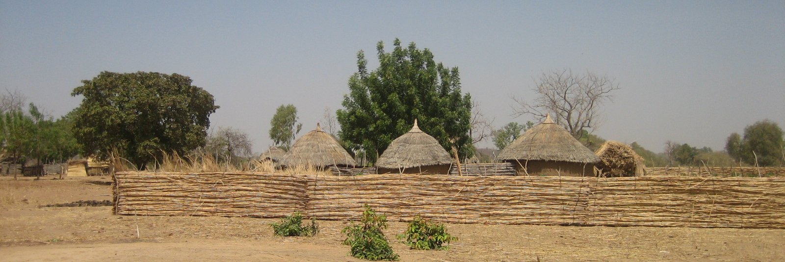 dsumba's profile banner image