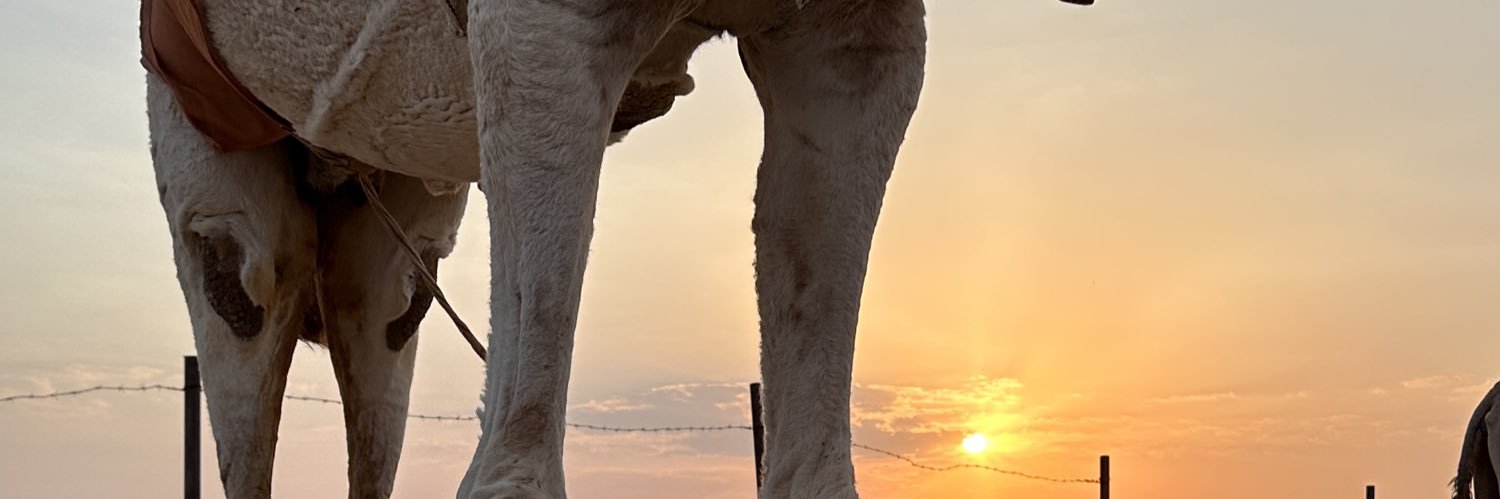 k8l_h's profile banner image