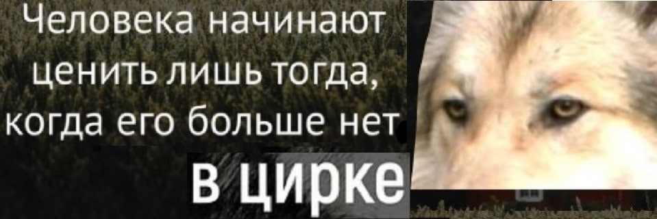 John Cromwell ExeKutor the 1st banner