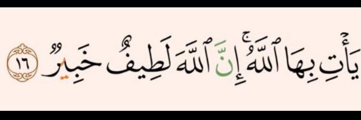 أم سعد ( الفجر ) banner