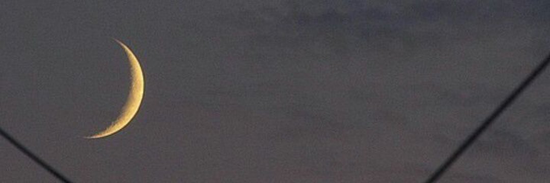 ×färø banner