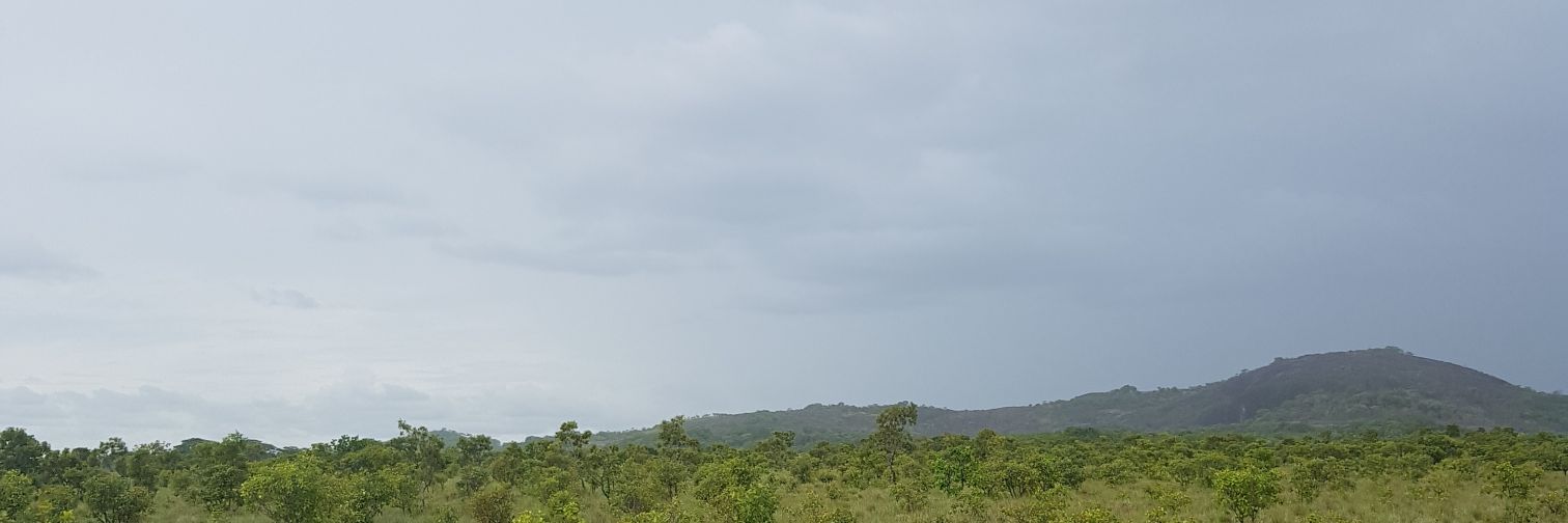 Anita banner