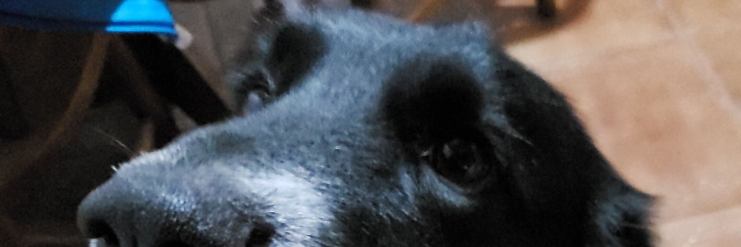 pelacho293's profile banner image