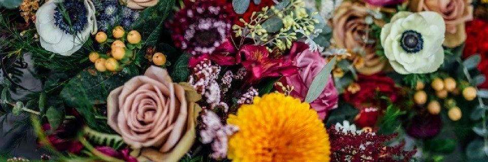 plantdocc's profile banner image