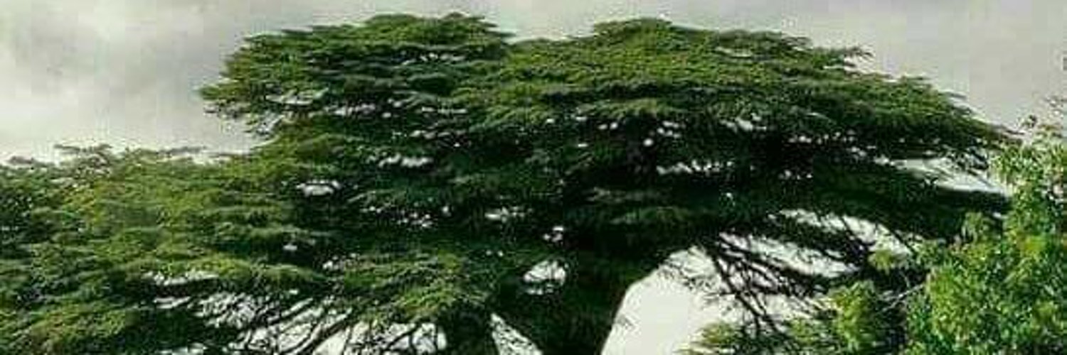 Fadi Kfoury (@kfoury_fadi_12) / Twitter