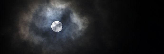 OctyPaternal's profile banner image