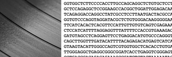 ThomasBourgeron Profile Banner