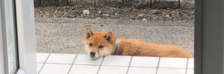 ryota__54's profile banner image