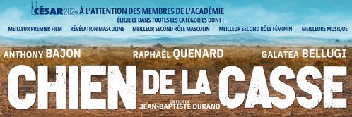 Insolence Productions banner