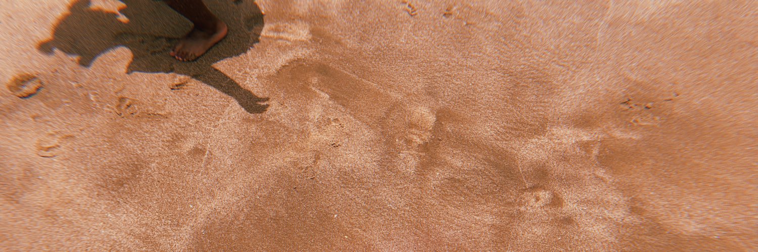annie___abc's profile banner image