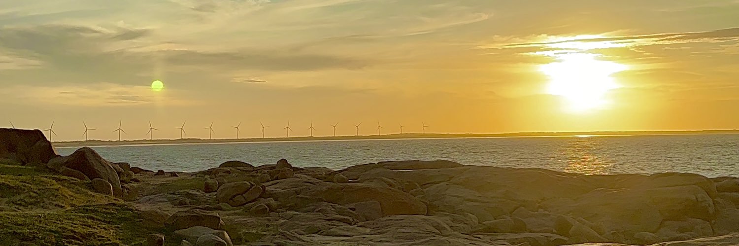 Mirton banner