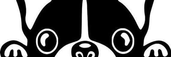 JenPavlak's profile banner image