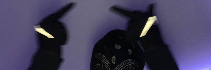 Sylvio banner