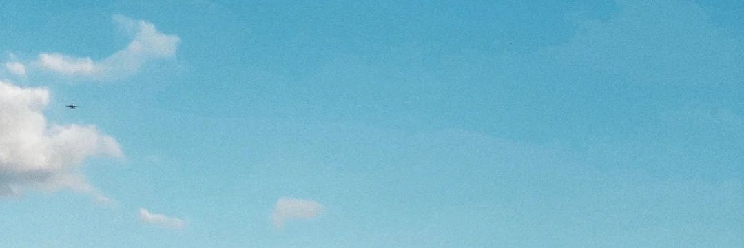 bluelea49's profile banner image