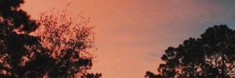 Aleviniiiz's profile banner image