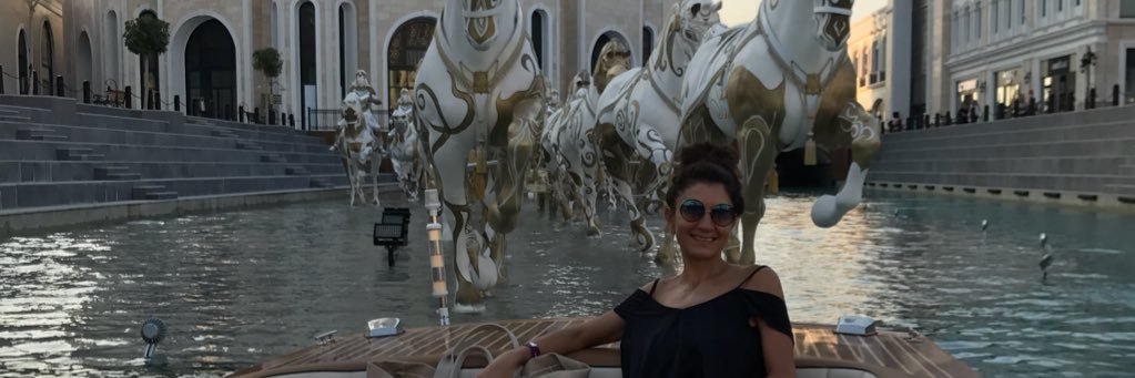 elvinyuceer's profile banner image