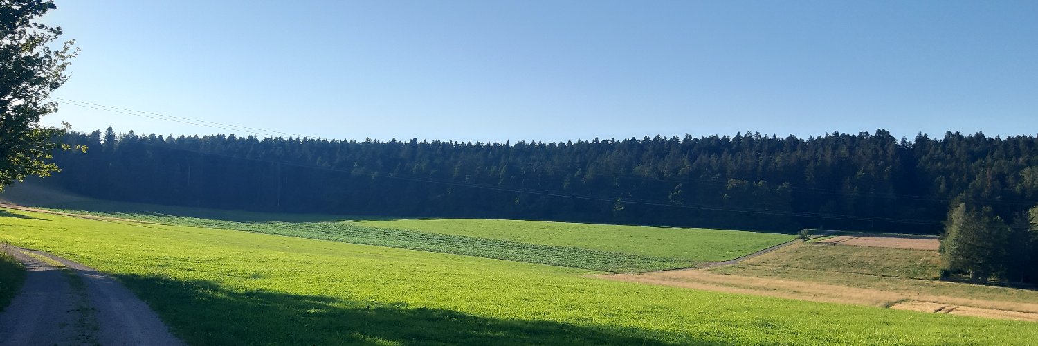 Yılm@z banner