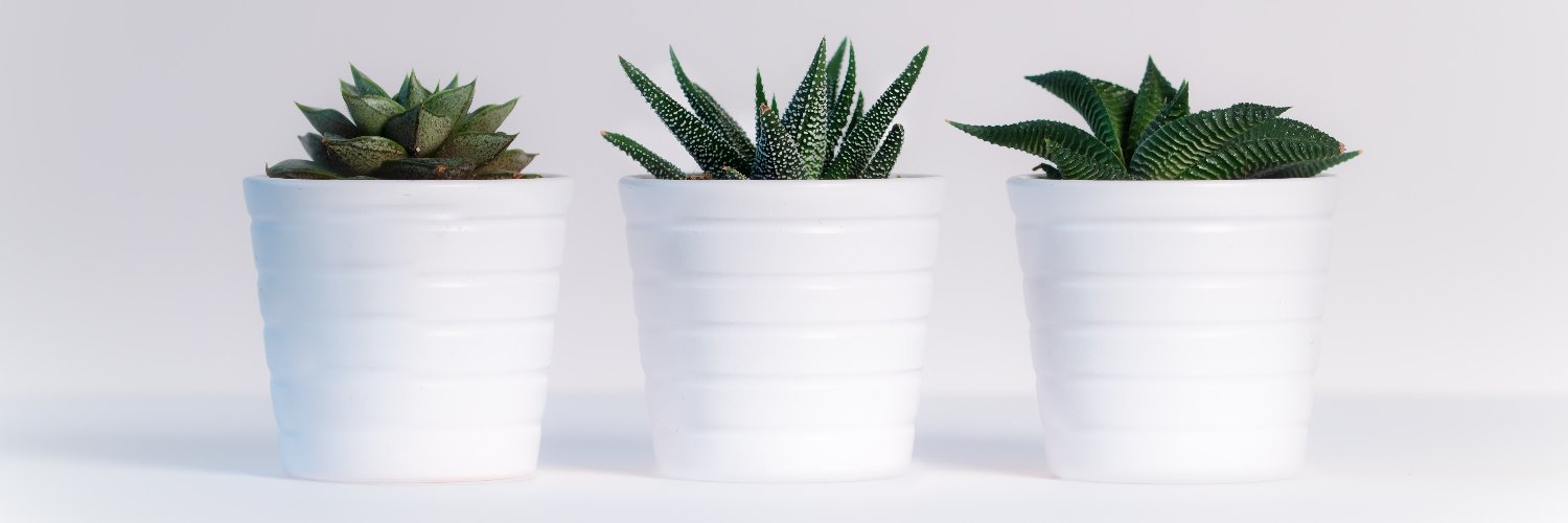 lonerangerr7's profile banner image