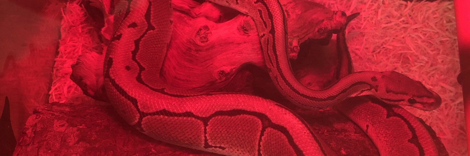 ChrisTheFish13's profile banner image