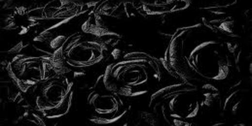 AdnDpty's profile banner image
