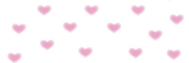 Nicole Pony banner